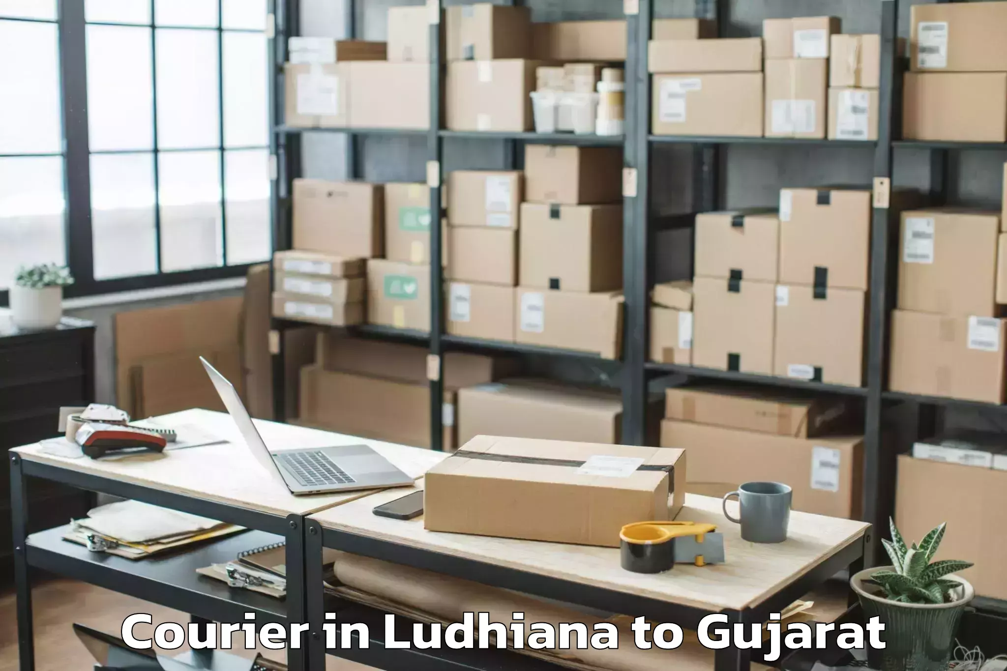 Comprehensive Ludhiana to Kadi Sarva Vishwavidyalaya Gan Courier